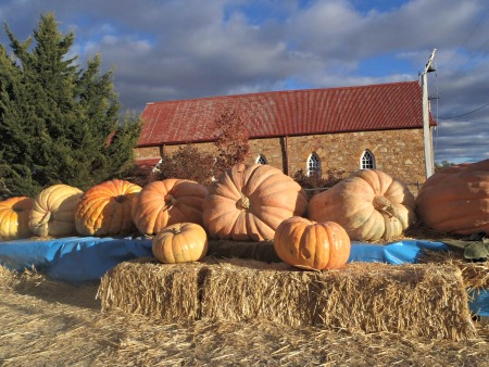 Collector Village Pumpkin Festival Church