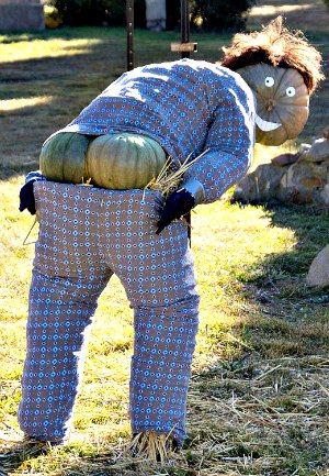 Pumpkin Scarecrow Moonie