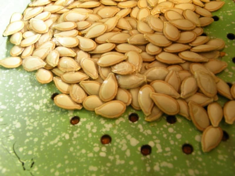 Pumpkin seeds