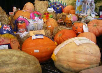 Decorated pumpkins at a pumpkin festival