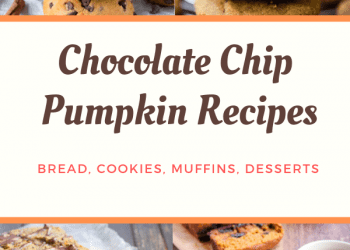 PUMPKIN CHOCOLATE CHIP RECIPES