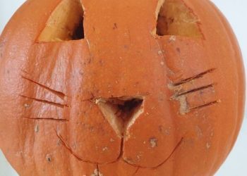 pumpkin cat face carving