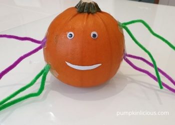 pumpkin spider crafts