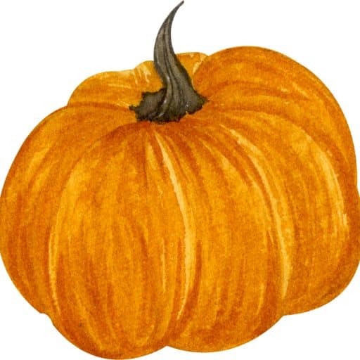 How Much Pumpkin Should I Give My Dog Daily how-much-pumpkin-should-i-give-my-dog-daily
