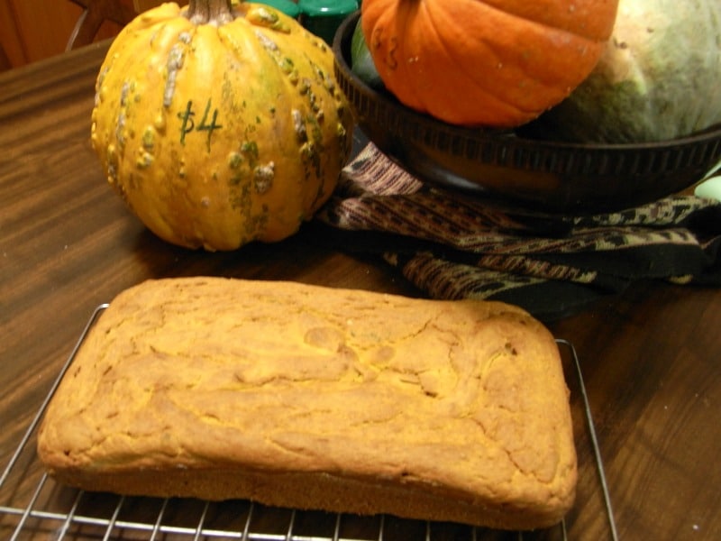 Pumpkin bread with fresh pumpkin