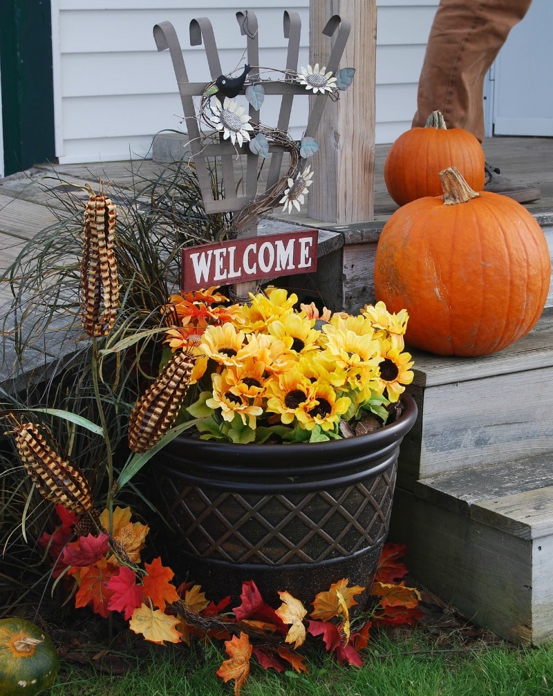 Autumn decor