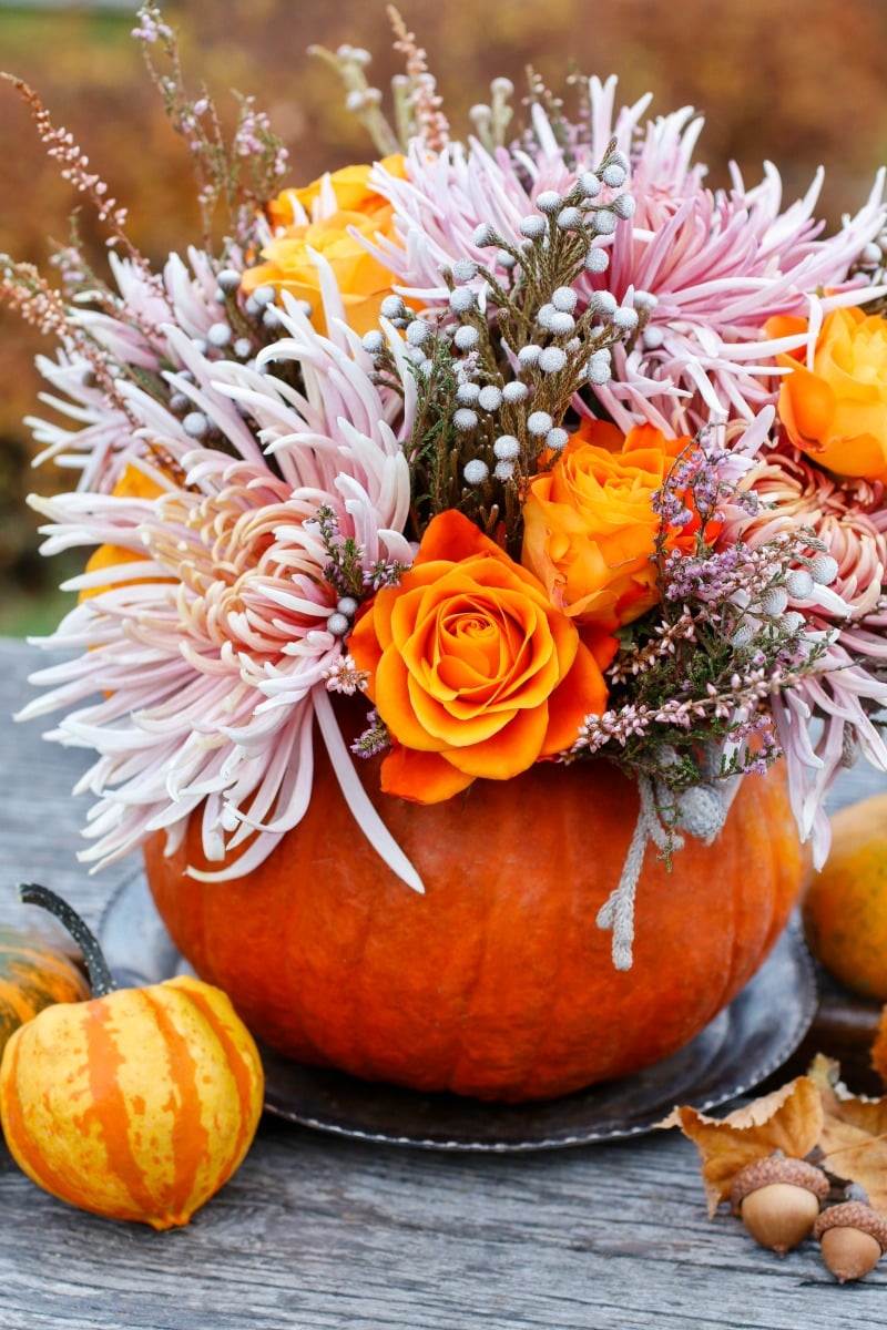 Bouquet of flowers in pumpkin. Autumn decor