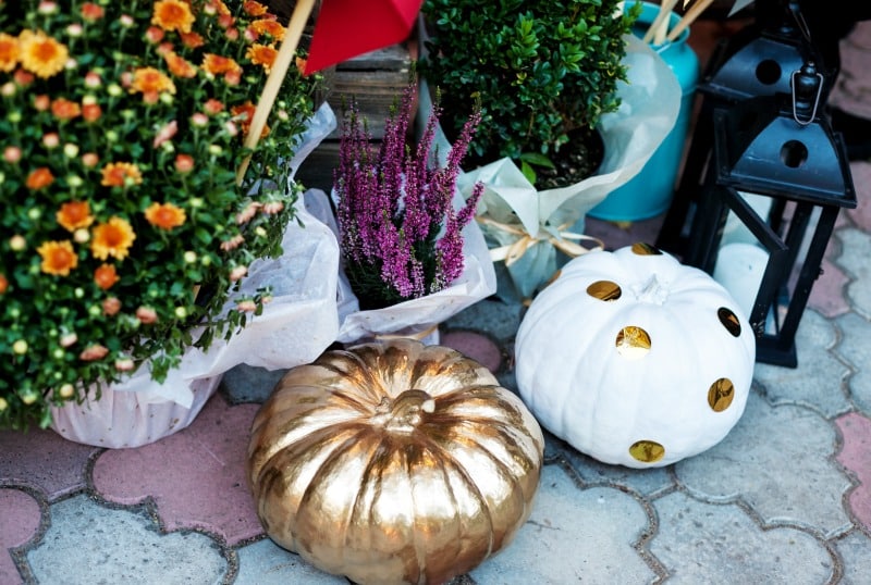 White and gold decorated pumpkins