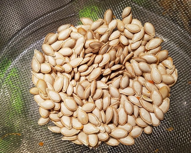 Cleaned pumpkin seeds, ready to roast