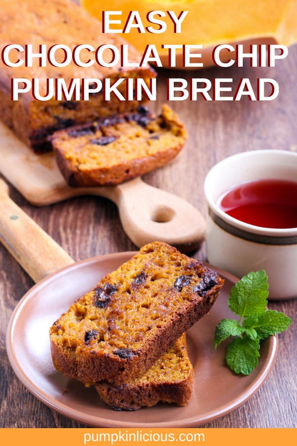 Perfect for fall breakfast, this easy chocolate chip pumpkin bread is moist, healthy and delicious. Add this to your best holidays recipes stash. #pumpkin #chocolatechip #pumpkinbread #fallrecipes #holidayrecipes #thanksgiving #thanksgivingrecipes