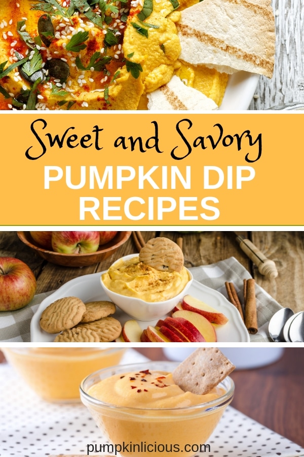 Looking for some easy to make, sweet and savory pumpkin dip recipes for fall? Make savory dips with cream cheese and flavored salts and sweet dips with cinnamon and cool whip. YUM! Many dip recipes are made with only 3 ingredients: simple and quick. #diprecipes #falldips #partydips #pumpkindips #pumpkinrecipes #fallrecipes #thanksgiving #Christmasappetizers 