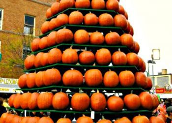 Pumpkin tree display at the Circleville Pumpkin Show in Ohio