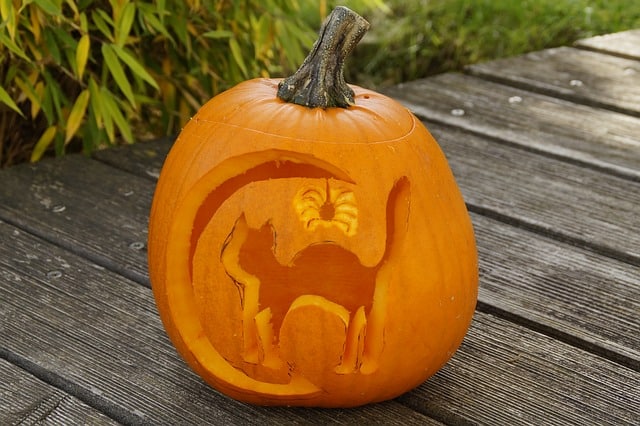 free pumpkin cat stencils