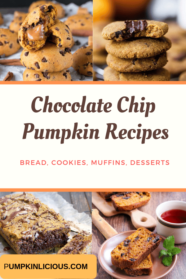 PUMPKIN CHOCOLATE CHIP RECIPES