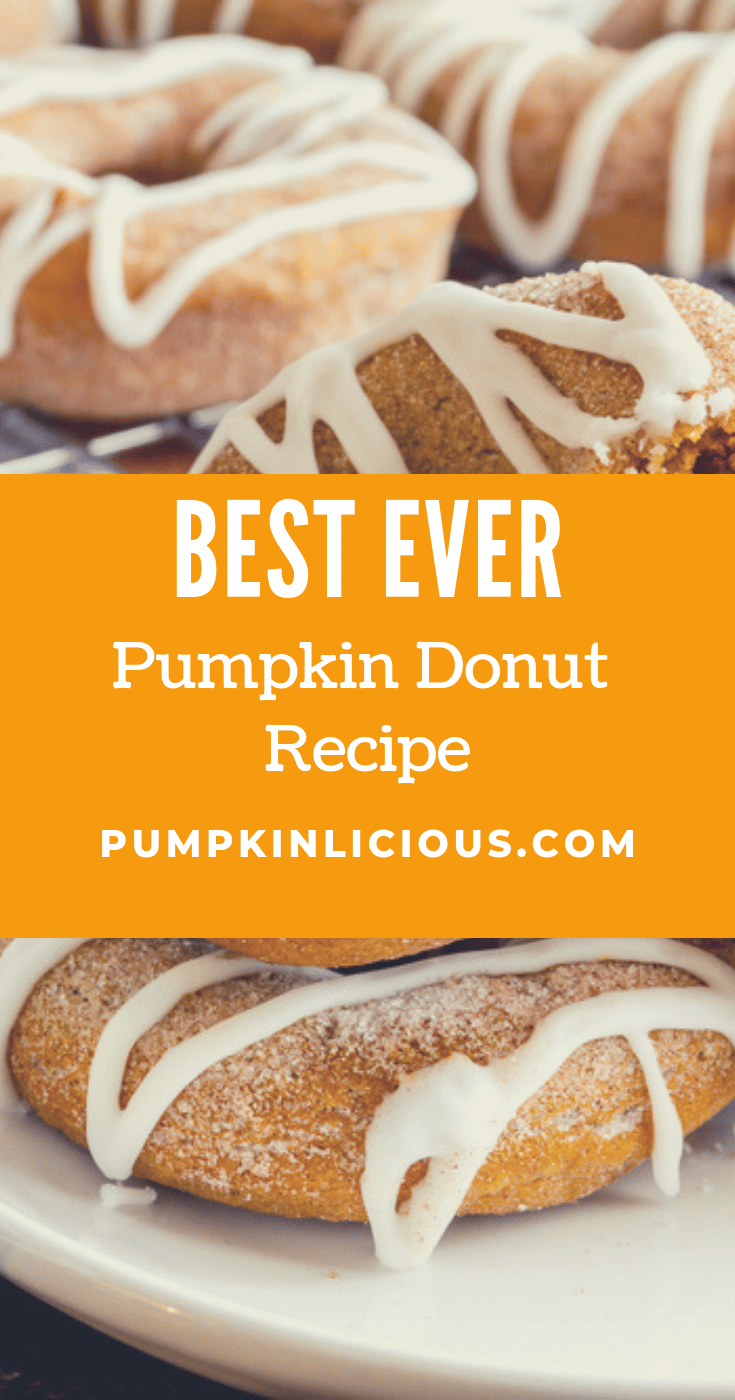 Pumpkin Donut Recipe