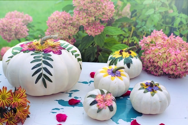 white pumpkin decor ideas