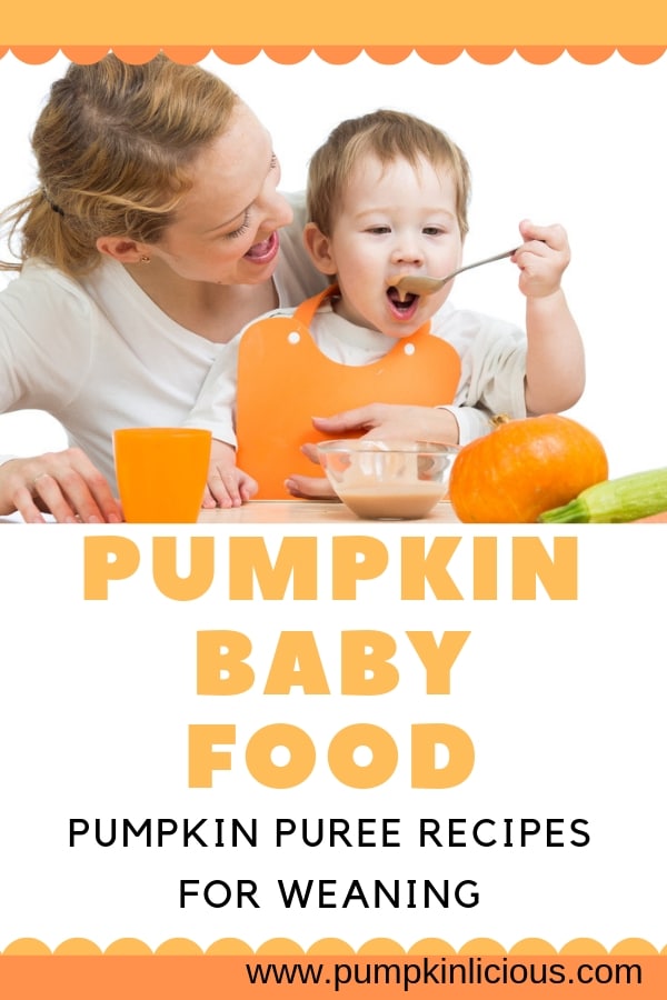 pumpkin puree recipes for baby