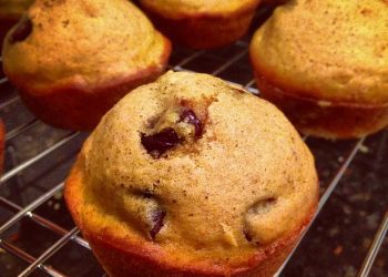 pumpkin muffins recipe