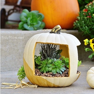 pumpkin planter craft