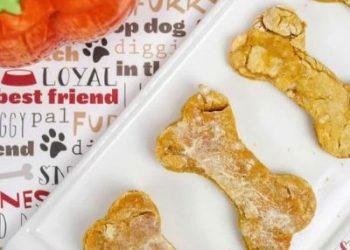 apple pumpkin dog biscuits