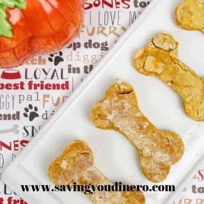 apple pumpkin dog biscuits