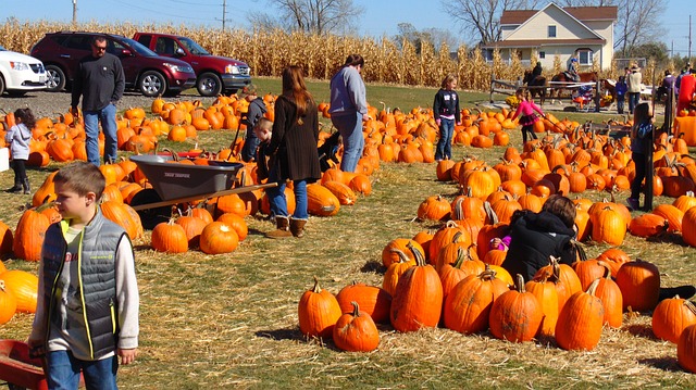 cute pumpkin patch outfits