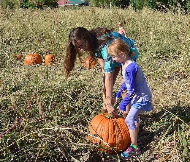 how to decide what to wear to the pumpkin patch