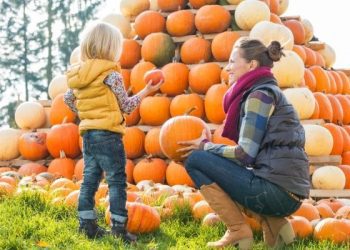pumpkin patch outfit ideas for women