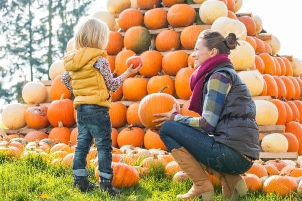 pumpkin picking outfits ideas for women