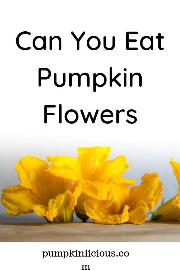 are pumpkin flowers edible