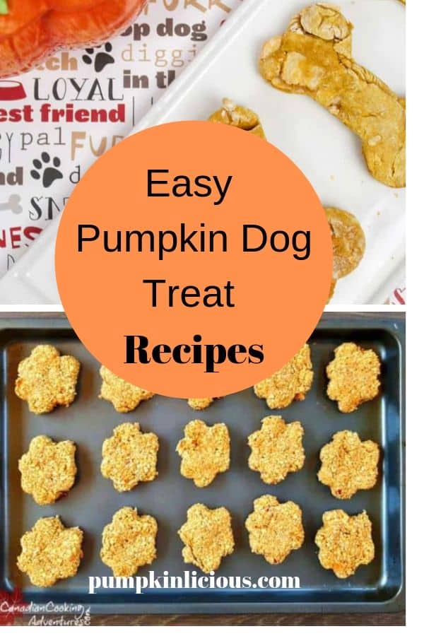 easy pumpkin dog treat recipes