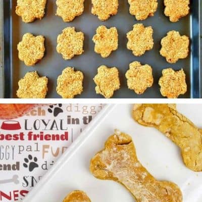 easy pumpkin dog treats homemade