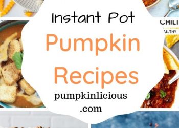 instant pot pumpkin recipes