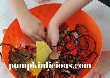 autumn sensory bin