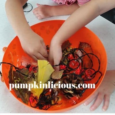 autumn sensory bin