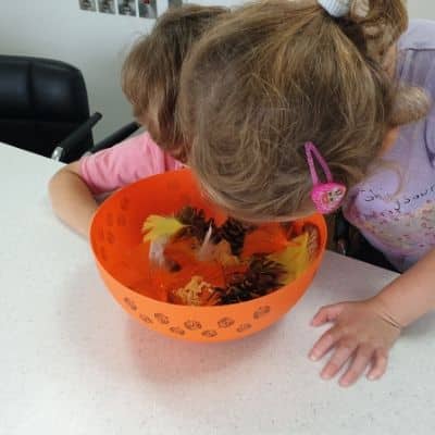 fall sensory bin for preschool
