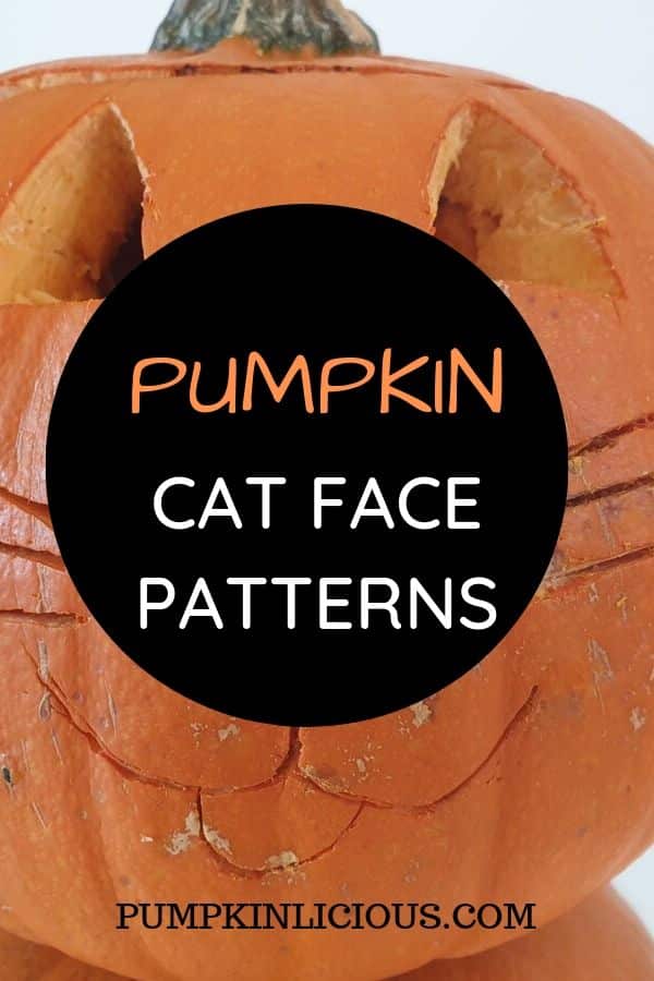 Pumpkin cat face pattern