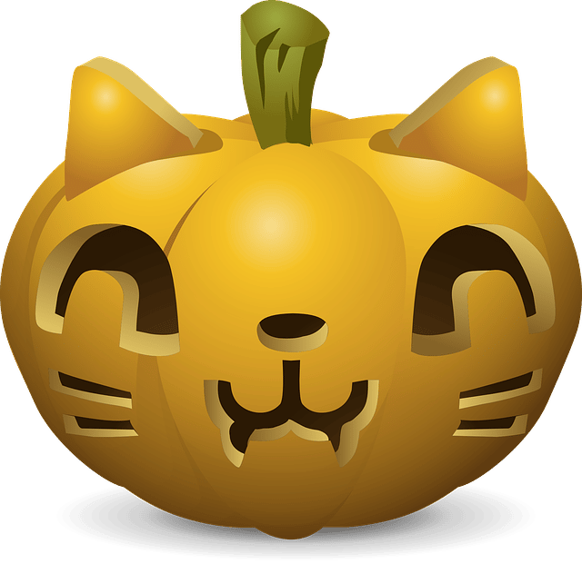 pumpkin cat face