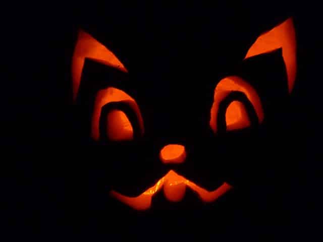 cat face pumpkin carving
