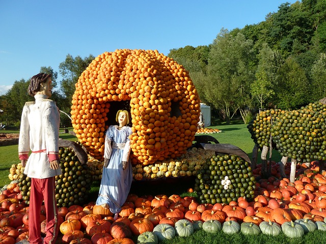 cinderella pumpkin