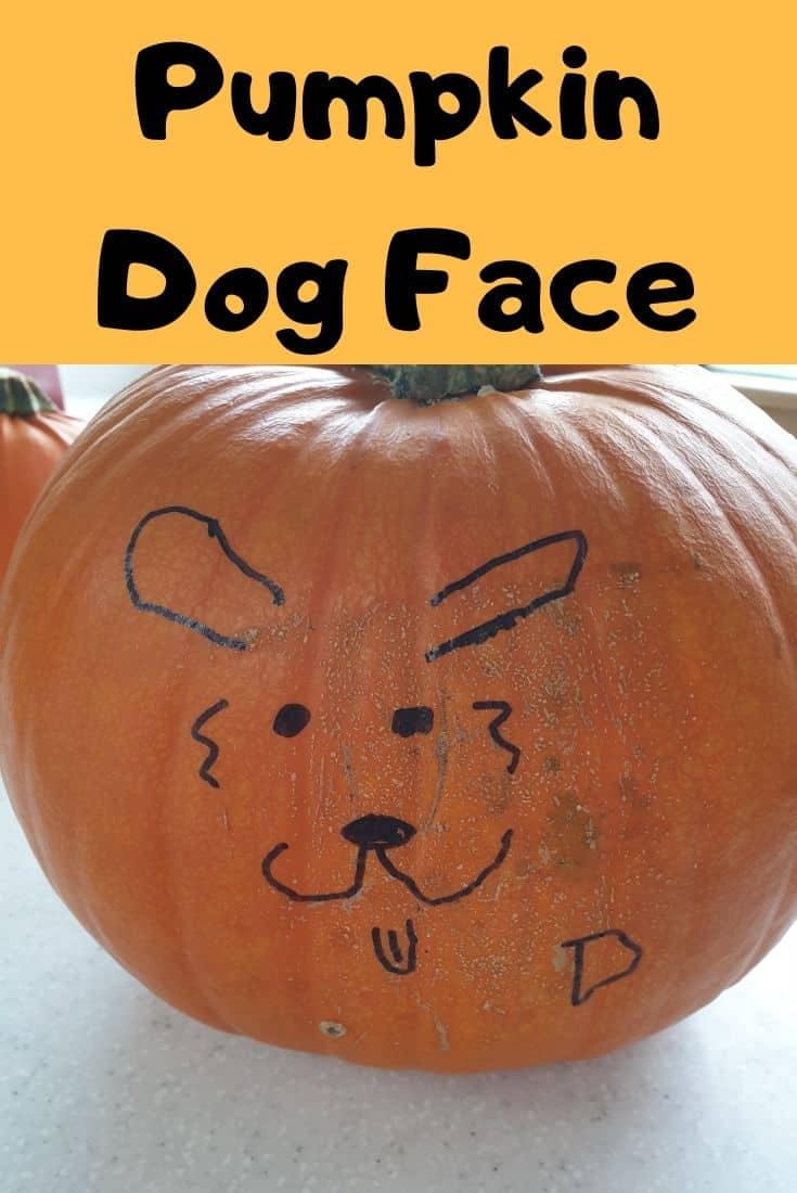 No carve Pumpkin Dog Face