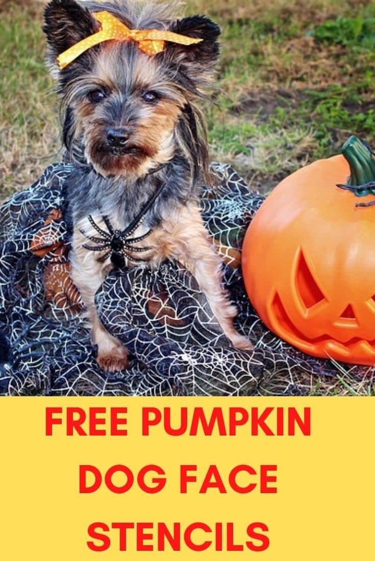 PUMPKIN DOG FACE STENCILS