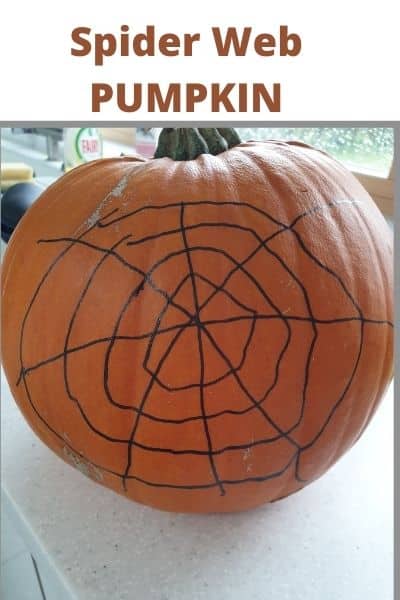 SPIDER PUMPKIN WEB NO CARVE