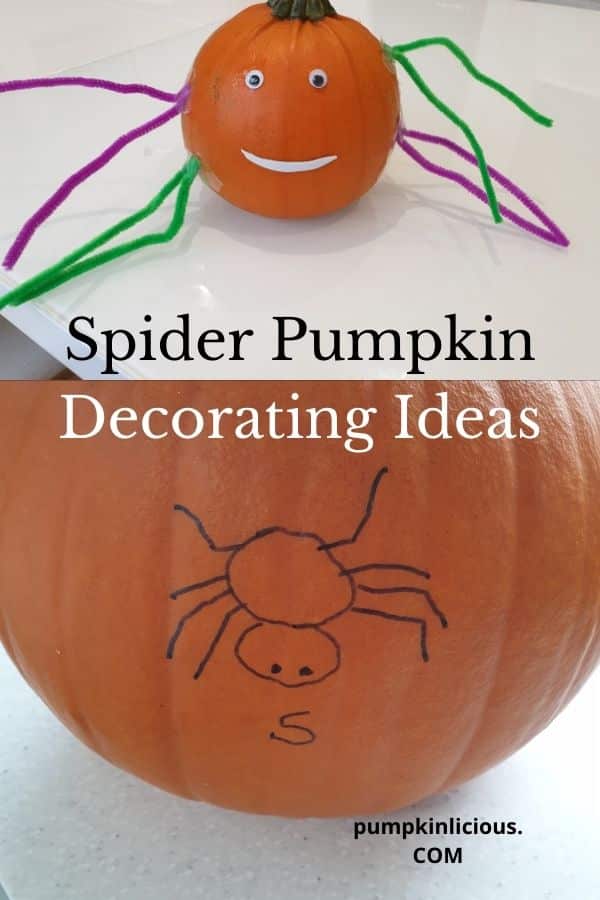 spider pumpkin decorating ideas