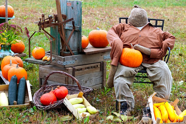 pumpkin patches Las Vegas