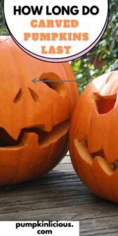 How Long Do Carved Pumpkins Last?