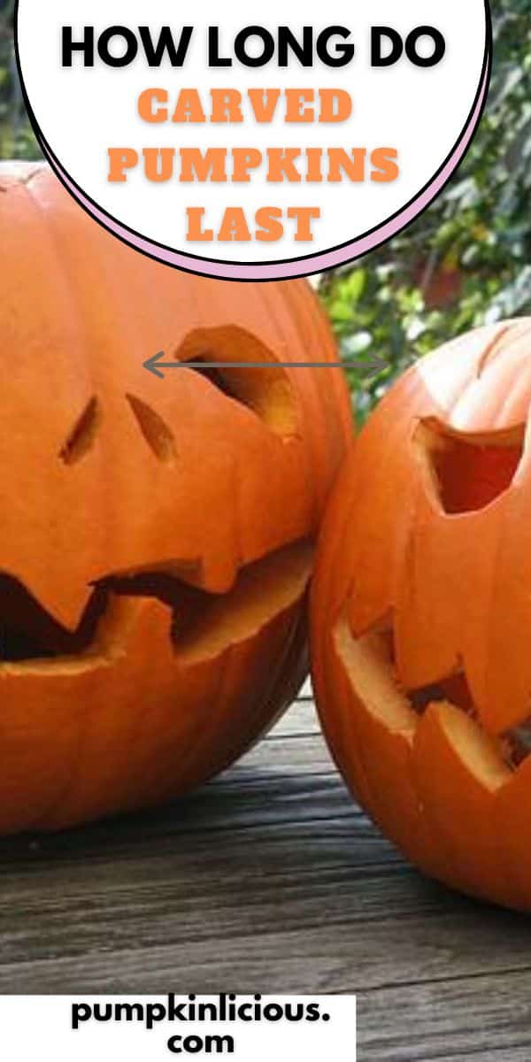 How long do Carved Pumpkins Last